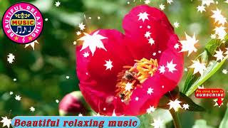 🎵 Beautiful Relaxing Music  Fragments by AERHEAD  Beautiful Relaxing Music Channel [upl. by Lewie184]