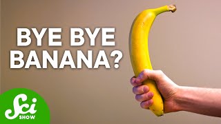 Bananas Are Not What You Think  The Shocking Truth [upl. by Iccir197]