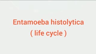 Entamoeba histolytica life cycle hindi Amoebic dysentry parasitic protozoan sciencespectrum07 [upl. by Ultann]