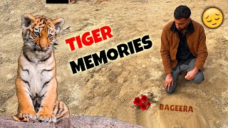 Memories Of Our BageeraTIGER [upl. by Cypro539]