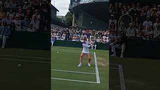 Barbora Krejčíková Wimbledon Masterclass wta tennis forehandwinner [upl. by Joceline]