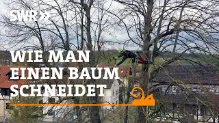 Wie man einen Baum schneidet  SWR Handwerkskunst [upl. by Releyks]