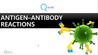 Antigen Antibody reactions Part 1 Introduction Review for NEETPG USMLE amp MBBS [upl. by Tye]