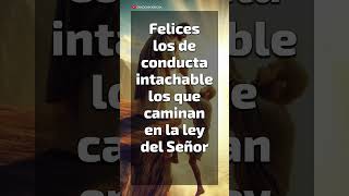 Felices los que caminan en la ley del Señor 🌺🌻🌿 jesus diosamor diosteama [upl. by Abixah]