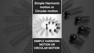 Harmonic motion education physics physicswallah experiment physicsexperiment scienceexperiment [upl. by Cadman]