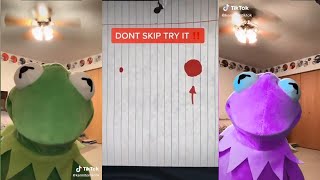 Funny Kermit on TikTok Videos Compilation Best kermitontiktok 2021 [upl. by Eachern]