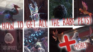 Monster Hunter World  How To Get All The Rare Pets GuideTutorial [upl. by Scholz]