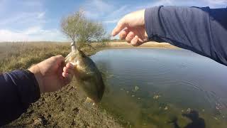 Pond fishing in the fall [upl. by Hylan]