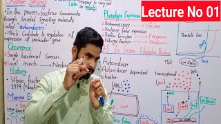 Quorum Sensing In Bacteria In Urdu  How Bacteria Talk To Each Other In Hindi  QS In V Fischeri [upl. by Brody]