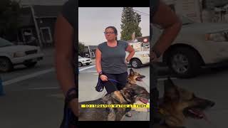 KAREN Pepper Sprays Small DOGS On PRIVATE Property [upl. by Swanhildas]