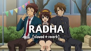 Radha  SOTY slowedreverb  Peace Please [upl. by Eivets703]