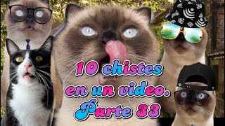 10 chistes en un video Parte 33 😻🤭❤️ [upl. by Ahtikal887]