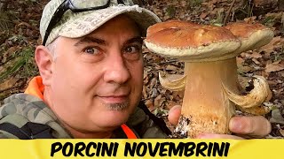 PORCINI NOVEMBRINI  FUNGHI PORCINI NOVEMBRE 2023 [upl. by Intruok]