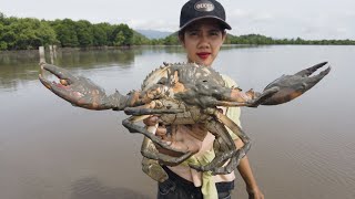 Giant Mud Crab Caught by Fearless Woman – You Wont Believe It [upl. by Netsrik]