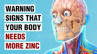 10 Warning Signs Your Body Needs More Zinc [upl. by Jb]