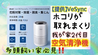 Levoit（レボイト）の空気清浄機が凄かった‼️我が家2代目空気清浄機✨ [upl. by Dirtsa]