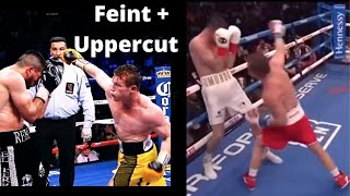 CANELO USING THE SAME MOVE ON DIFFERENT OPPONENTS FEINT  UPPERCUT [upl. by Malley421]