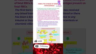 Haemolytic Disease Of Newborn 👶 hdn newborn rh abo bloodtest pathogenesis mbbs neetpg lab [upl. by Odetta]