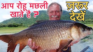 रोहू मछली के बारे में रोचक जानकारियाँ  Benefits of Rohu Fish in Hindi  Rohu Fish Facts 🐟 [upl. by Necaj]