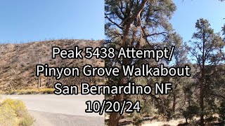 102024 San Bernardino NF Peak 5438 Attempt and Pinyon Grove Wrightwood Area Ca [upl. by Sualohcin150]