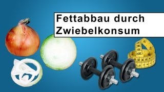 Die Zwiebel  Gut für Muskelaufbau und Fettabbau  Lebensmittel der Woche [upl. by Brooke505]