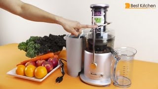 Breville JE98XL Juice Fountain Plus 850Watt Juice Extractor Review [upl. by Nana]