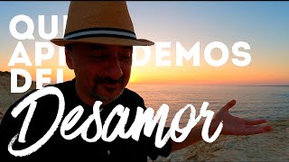 🟢 Qué aprendemos del DESAMOR [upl. by Crispin]