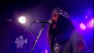 Brant Bjork The Bros LOW DESERT PUNK Live [upl. by Rocher]