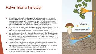 Svampfysiologi  Biologi 2 100 p [upl. by Anay]