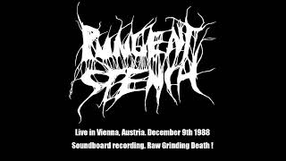 Pungent Stench Aut Live in Vienna Austria December 9th 1988 2024 ReRipMaster GrindDeath [upl. by Ynot172]