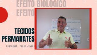 HISTOLOGIA VEGETAL TECIDOS PERMANENTES [upl. by Aisenet]