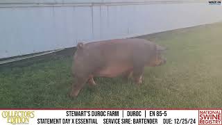 STEWARTS DUROC FARM  DUROC EN 855  NSR Collectors Edition  Nov 20 2024 [upl. by Colman]