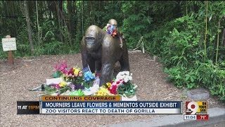 Cincinnati gorilla Harambe Mourners leave flowers mementos outside exhibit [upl. by Flemming]