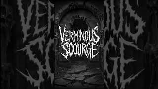 Verminous Scourge  Grindcore Goregrind Deathgrind noisegrind 2024metal deathmetalchannel [upl. by Naamana]