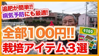 家庭菜園や農園栽培で全部１００円！追肥や病気予防を簡単にする栽培アイテム３選！【農家直伝】Tips for fertilizing with materials from a 100yen shop [upl. by Alva]