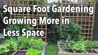 Square Foot Gardening SFG Growing More in Less Space [upl. by Virginia]