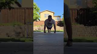 Day 160  22 Push Ups health motivation anxiety depression fitness funny goals dog puppy [upl. by Wartow]