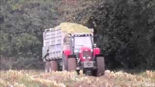 Ensilage Mais 2015  Bretagne [upl. by Enair]