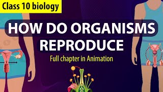 How Do Organisms Reproduce Complete Chapter🔥 in Animation Class 10th Science CH6 NCERT covered [upl. by Culliton]