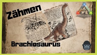 ARK‬ Survival Evolved Brachiosaurus zähmen 2021 TamingINFO GUIDEDeutschDinos zähmenMod [upl. by Coffin]