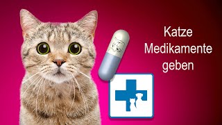 Wie gebe ich meiner Katze Medikamente und Tabletten [upl. by Spratt]