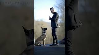 K9 dogs are so interesting 😱🐕k9 dog malinois k9protection dogsoftiktok [upl. by Stoneman]