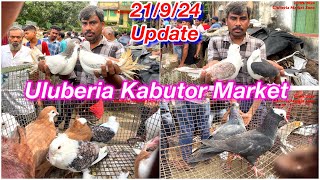 Uluberia Kabutor Market21924 price update today cheapestprice pigeonuluberiabirdmarketkabutar [upl. by Saixela]