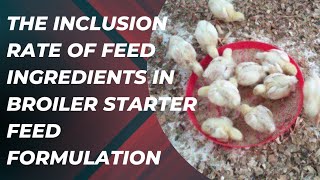 knowing the inclusion rate of feed ingredients used in broiler starter feed formulation [upl. by Asaert]