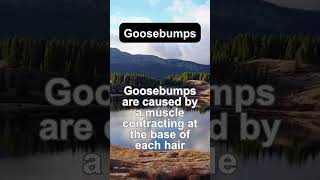 Goosebumps speech goosebumps words 😣 [upl. by Hugues]