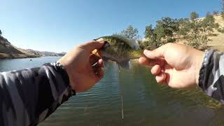 Millerton Lake Bluegill Fishing [upl. by Ainej]