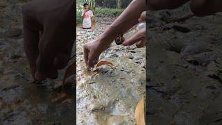 Finding Oysters From Muddy Soilshortsmudvideo [upl. by Idonna760]