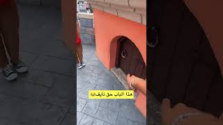 متى اخر اختبار لكم ؟ 🤔🤔 [upl. by Amin]