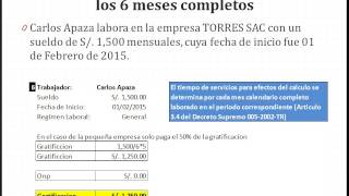 Ley 30334 – 10 Casos Prácticos de Gratificación [upl. by Cammie]