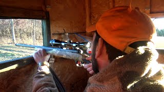 RIFLE DEER HUNTING SEASON in Pennsylvania with a 22250 and 243 Savage 110 Whitetail Deer Hunt USA [upl. by Anidan]